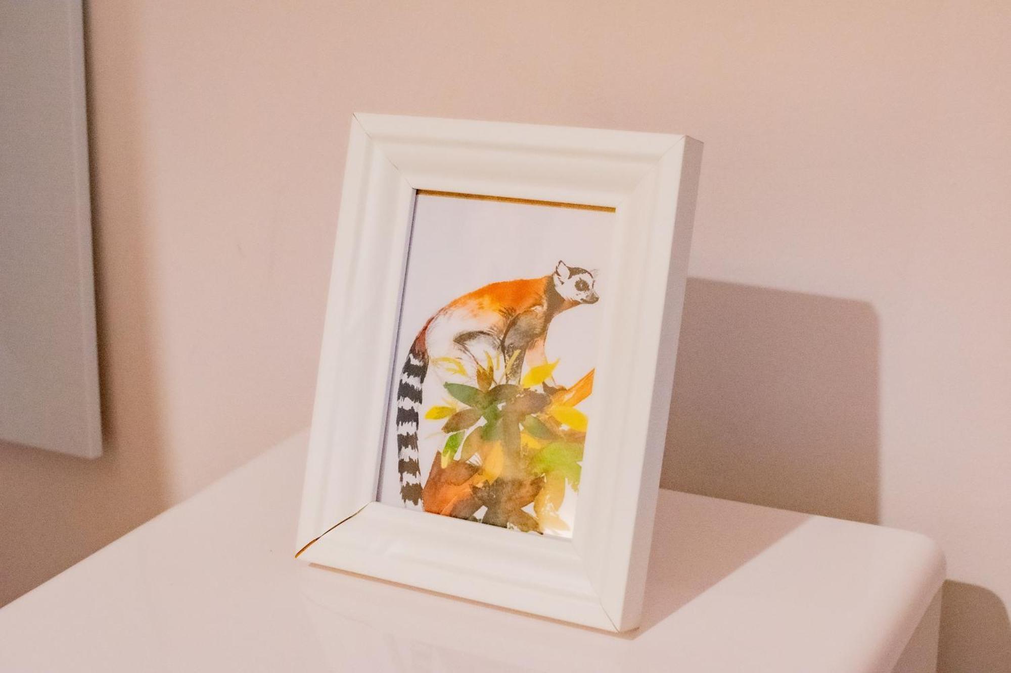 Holiday home Tropical Vibes In The Of Tribes Galway